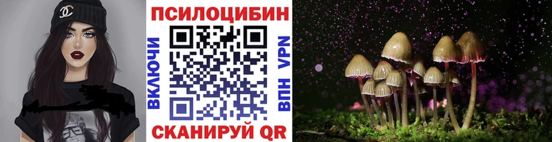 купить наркотики цена  Мончегорск  Псилоцибиновые грибы Psilocybe 